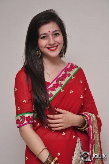 Celebs-at-Saheba-Subramanyam-Special-Show